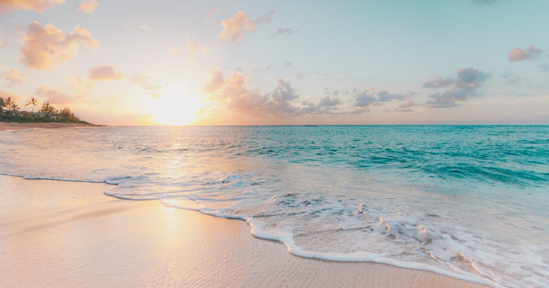Summer Readiness: The 5 Supplements Your Body Needs for Warm