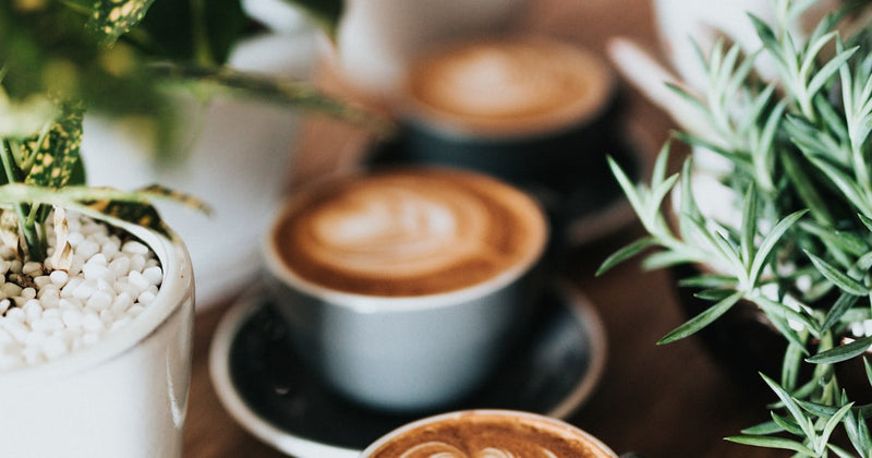 Myth-Bust: Does Caffeine Actually Make You Smarter?