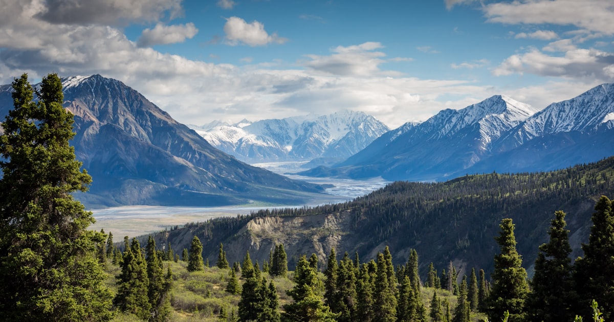 Shilajit and Altitude: The Hiker's Secret for Mountain Perfo