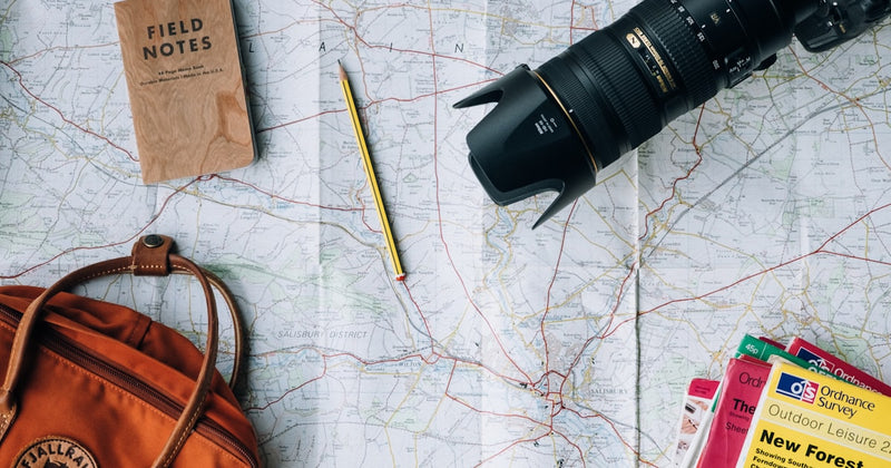 Travel immunity zinc