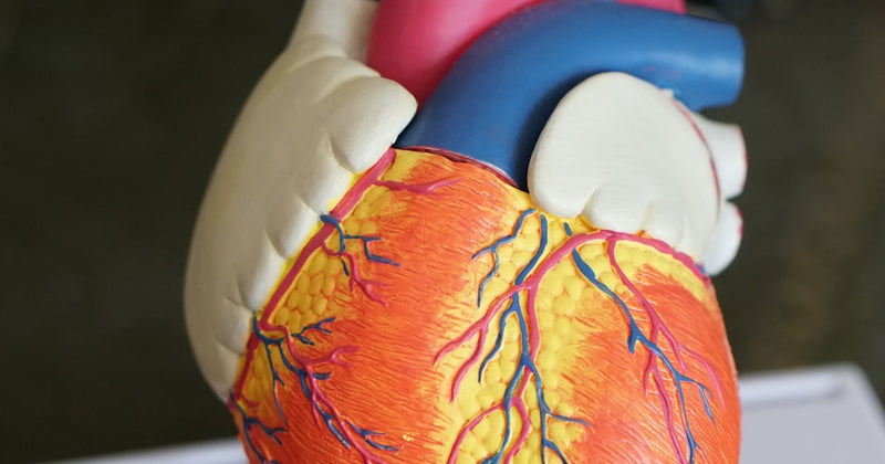 Vitamin D3 + K2: The Bone-Building Duo You're Missing