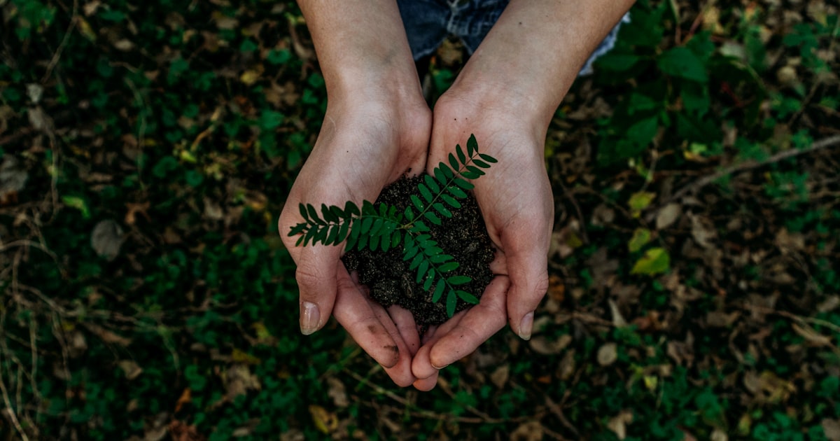 Earth Day Special: Plant-Based Supplements and Sustainabilit