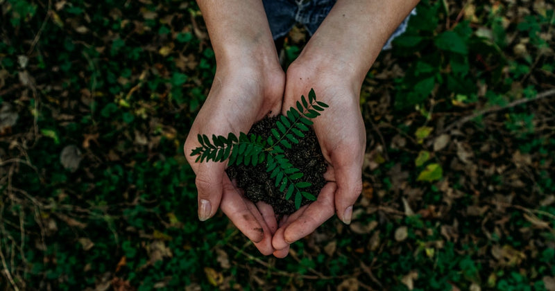 Earth Day Special: Plant-Based Supplements and Sustainabilit
