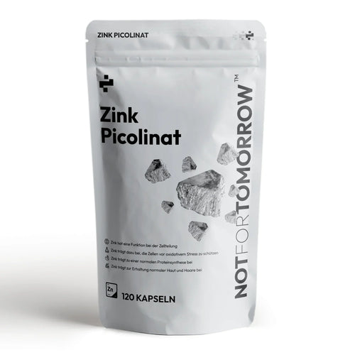 Zink Picolinat capsules supplement pouch with rock minerals, 120 capsules visible on package